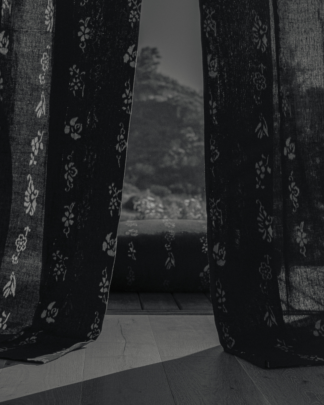 The Shadow of Flowers